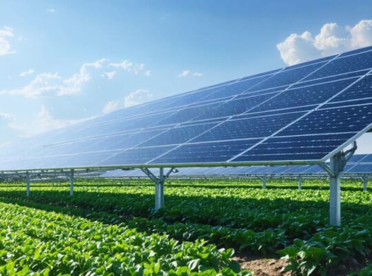 An artistic representation of solar panel arrays elevated above rows of thriving crops, illustrating the dual-use innovation of agrivoltaic systems that enhance both solar energy production and agricultural yields.