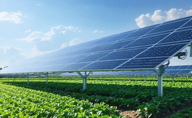 An artistic representation of solar panel arrays elevated above rows of thriving crops, illustrating the dual-use innovation of agrivoltaic systems that enhance both solar energy production and agricultural yields.