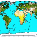 How Solar PV Systems Thrive in 9 Global Climate Zones