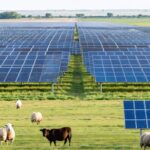 Solar Farms: The True Cost to Water Resources and Climate