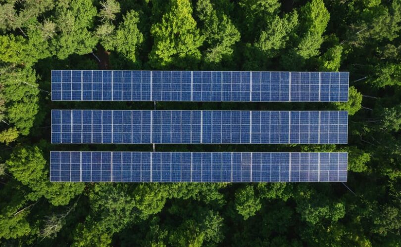 "Solar panel array integrated into a forest clearing with lush vegetation and towering trees in the background."