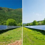 Renewable Energy’s True Environmental Cost: A Policy-Driven Impact Analysis