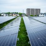 What Are Community Solar Developers (and How Do They Work)?